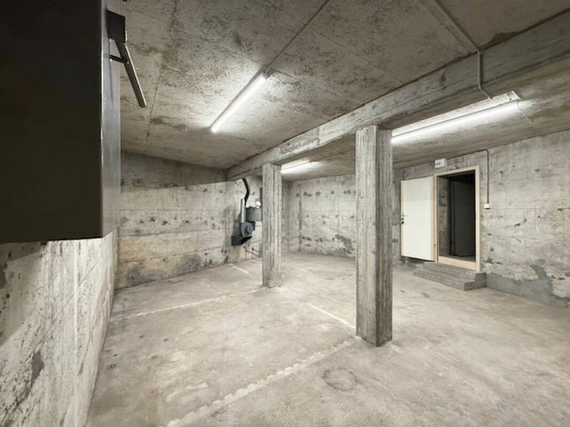 Pièce pour bricolage, stockage et cave fermable dans un emplacement central à Langnau (3)