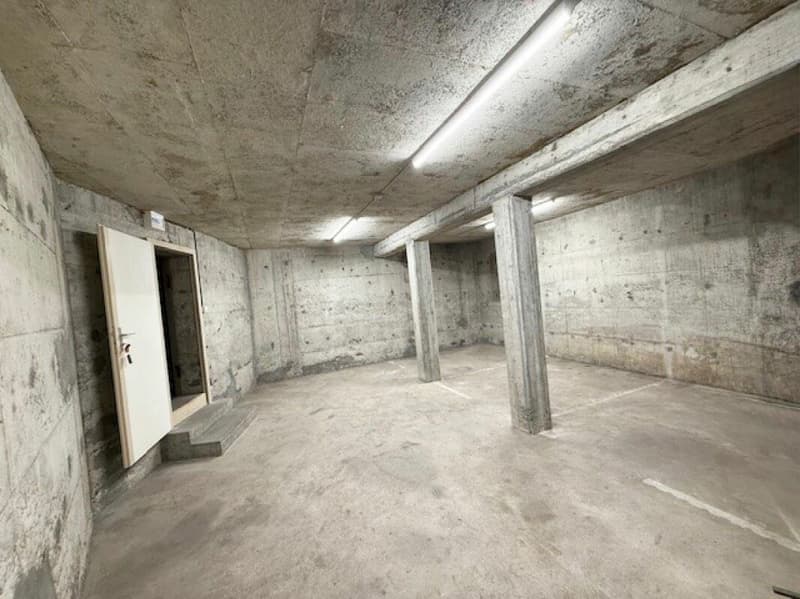Pièce pour bricolage, stockage et cave fermable dans un emplacement central à Langnau (5)