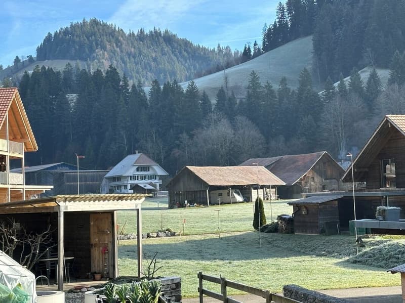 Construction neuve Trub - Maison mitoyenne dans un endroit calme et proche de la nature avec carport privé (2)