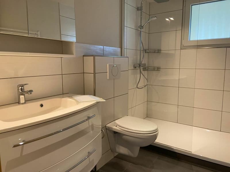 Living like in a single-family house - renovated 5.5-room maisonette apartment with a wonderful surrounding area (approx. 600 m2) (3)