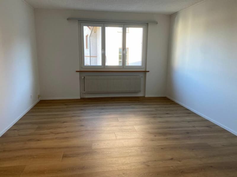 Living like in a single-family house - renovated 5.5-room maisonette apartment with a wonderful surrounding area (approx. 600 m2) (6)