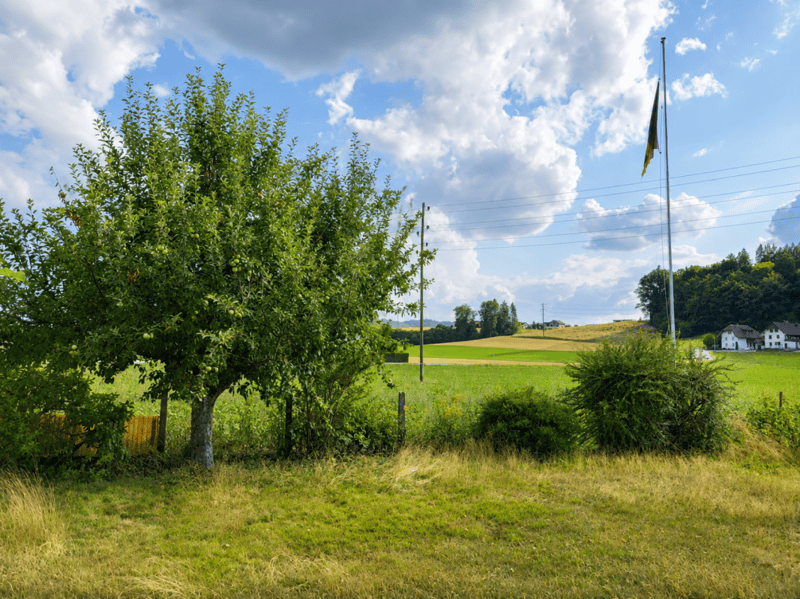 Ihr Zuhause im Grünen - an bester, unverbaubarer & ruhiger Lage (7)