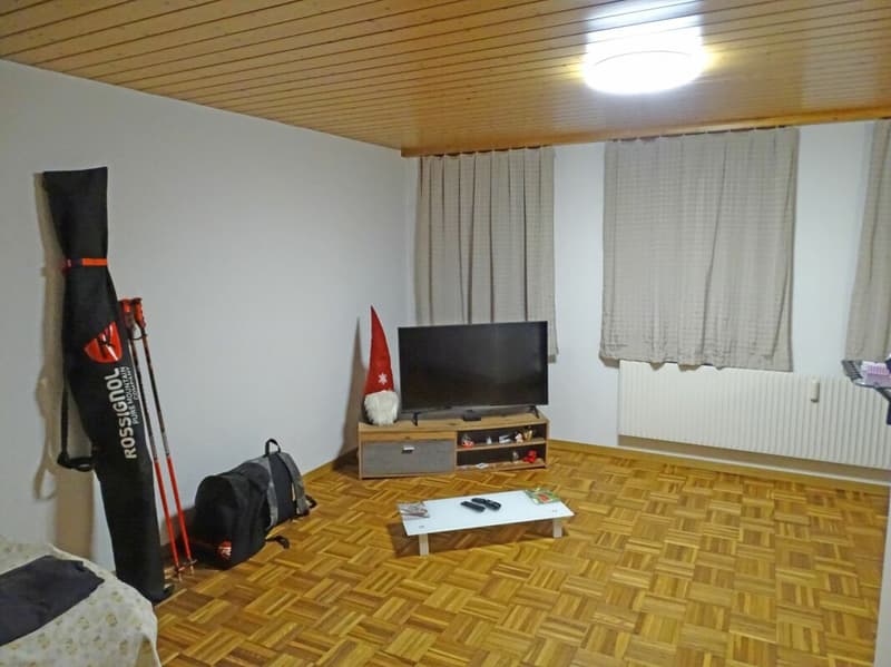 Grosszügige und charmante 1-Zimmer-Wohnung (2)