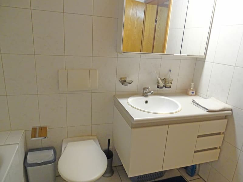 Grosszügige und charmante 1-Zimmer-Wohnung (6)