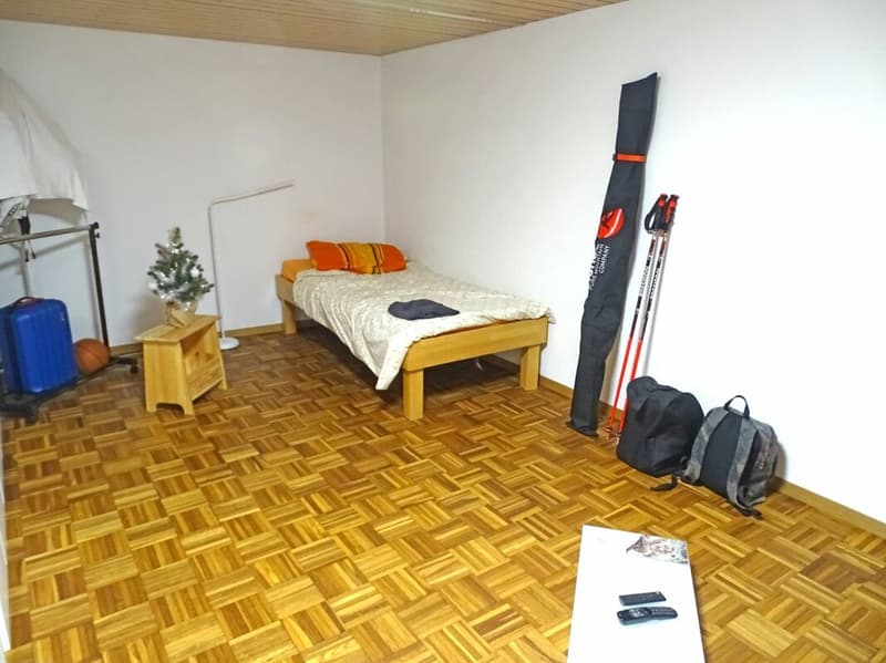 Grosszügige und charmante 1-Zimmer-Wohnung (3)