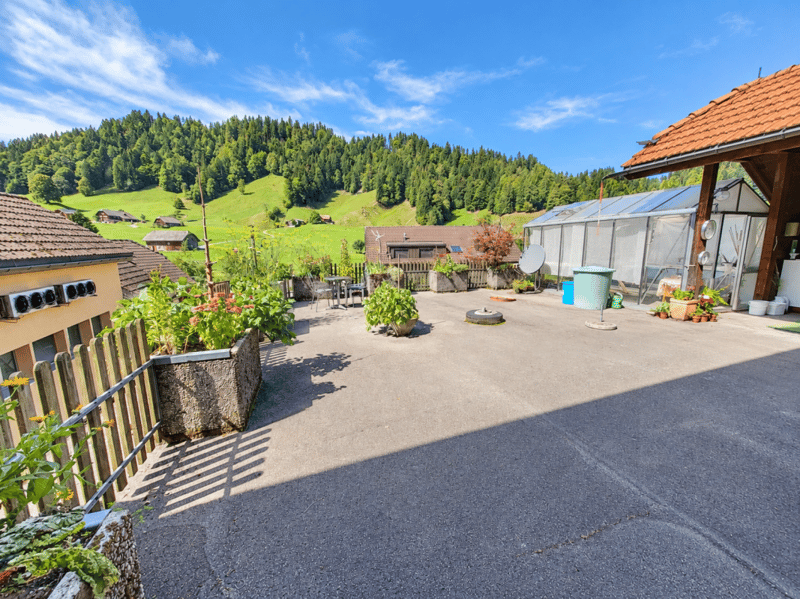 1. OG: Riesige Terrasse hinter dem Haus mit Treibhaus