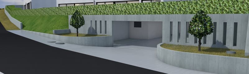 underground parking space with concrete walls, entrance from the road, trees planted