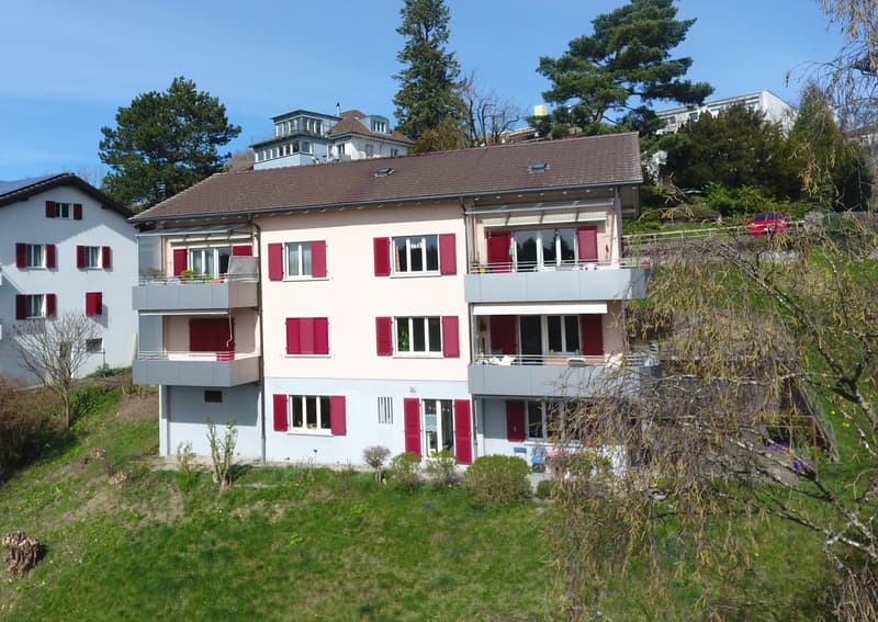 Helle Wohnung mit Alpenblick (1)