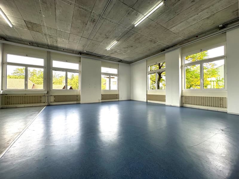 Letzte Bürofläche 164 m² mit 140m2 Lager und vielen EHP verfügbar (2)