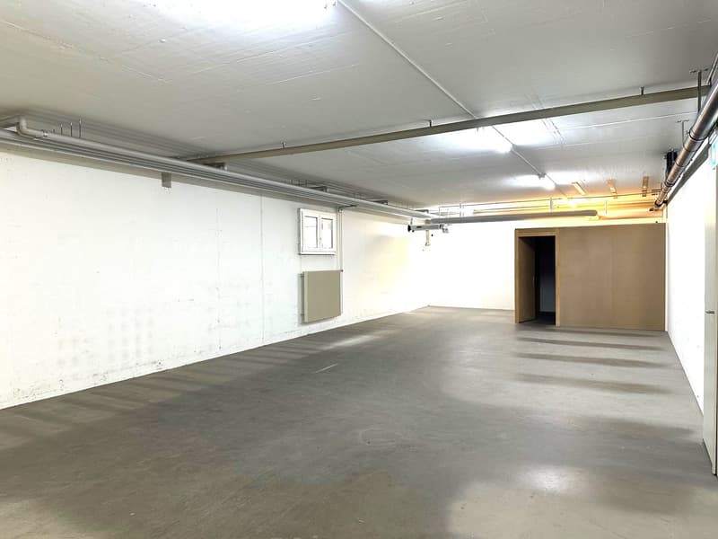 Letzte Bürofläche 164 m² mit 140m2 Lager und vielen EHP verfügbar (7)