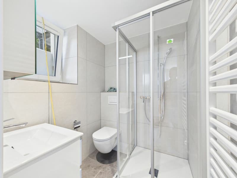 Exclusive 2.5-room apartment | First occupancy | Lake view | Solid wood parquet | Seating area | Washing tower (10)