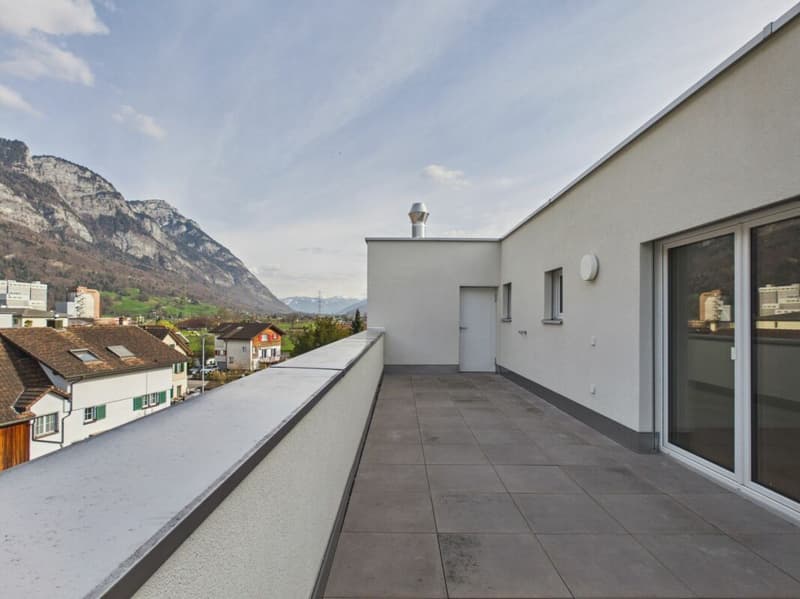 Einmalige Attika-Kaufgelegenheit - 197 m² Panoramaterrasse & 2 TG-Plätze inklusive (29)