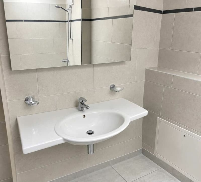 Grosszügige 3½-Zimmer-Dachwohnung mit viel Charme in Domat/Ems (6)
