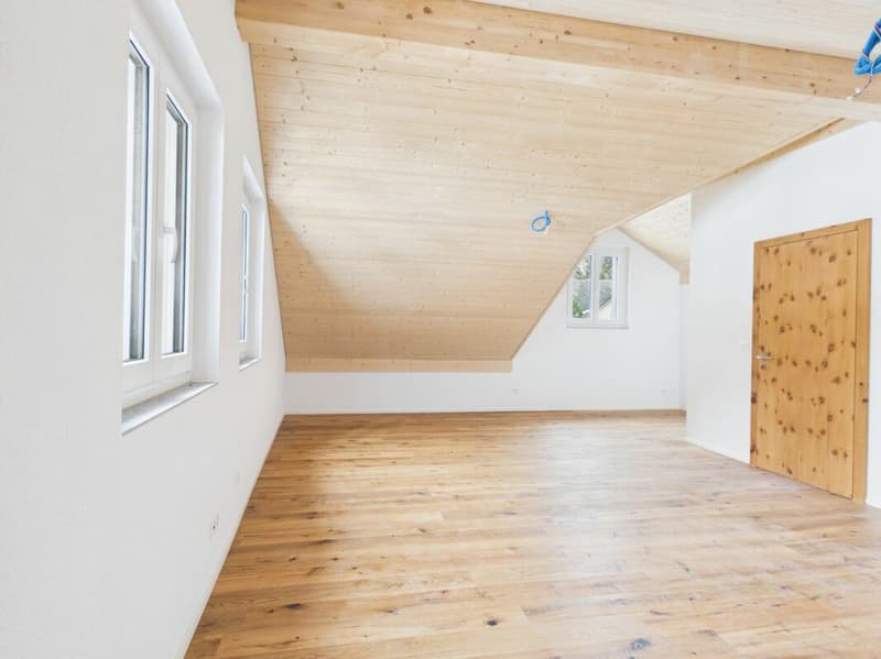 Exklusives Zweihaus-Anwesen mit vier Garagenplätzen und historischem Gewölbekeller (24)