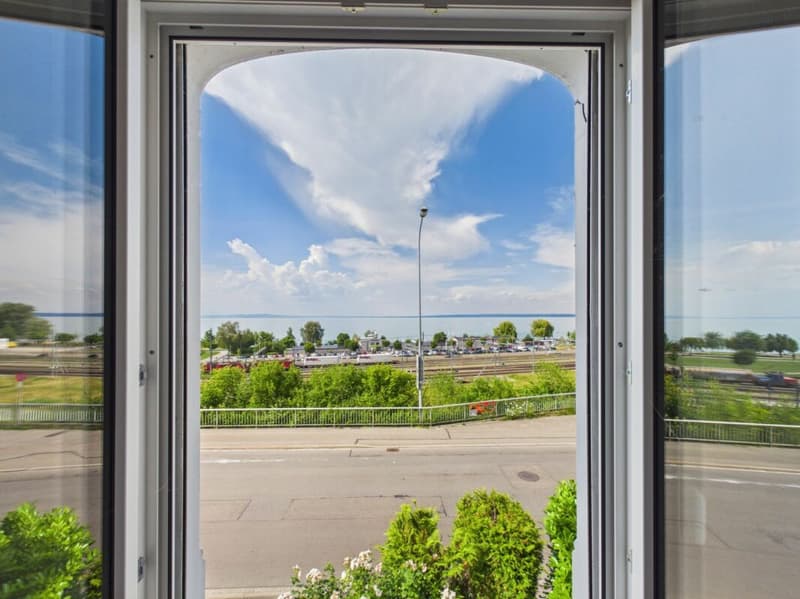 Logenplatz am Bodensee - volle Seesicht - Garten und Terrasse (25)