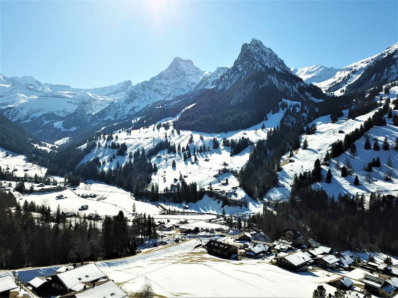 Appartamento da sogno con vista panoramica a Kiental (10)