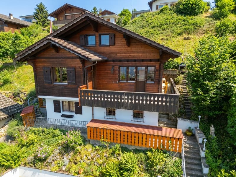 Frontansicht Chalet