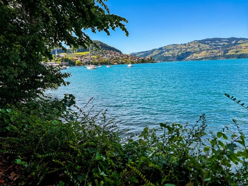 Thunersee
