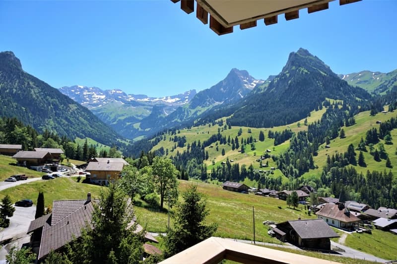 4.5-room apartment (2022) with wrap-around balcony and mountain view in Kiental (13)