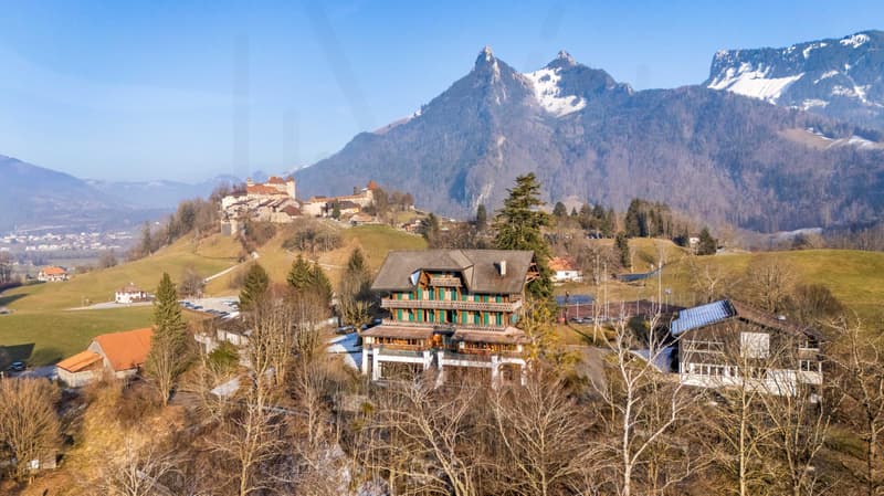 Istituto di Gruyère? Un gioiello intemporale nel cuore della storia e dell'innovazione! (7)