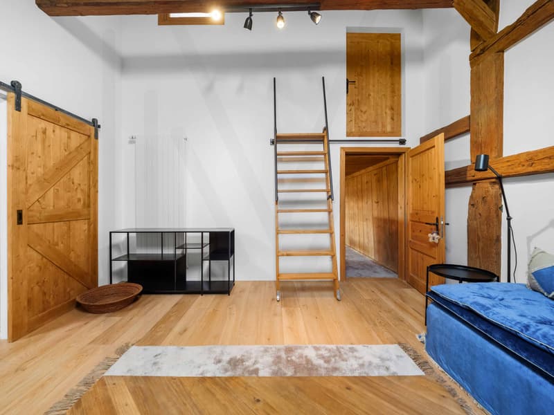 Exceptional, fully renovated character farmhouse in the heart of the Fribourg countryside (13)