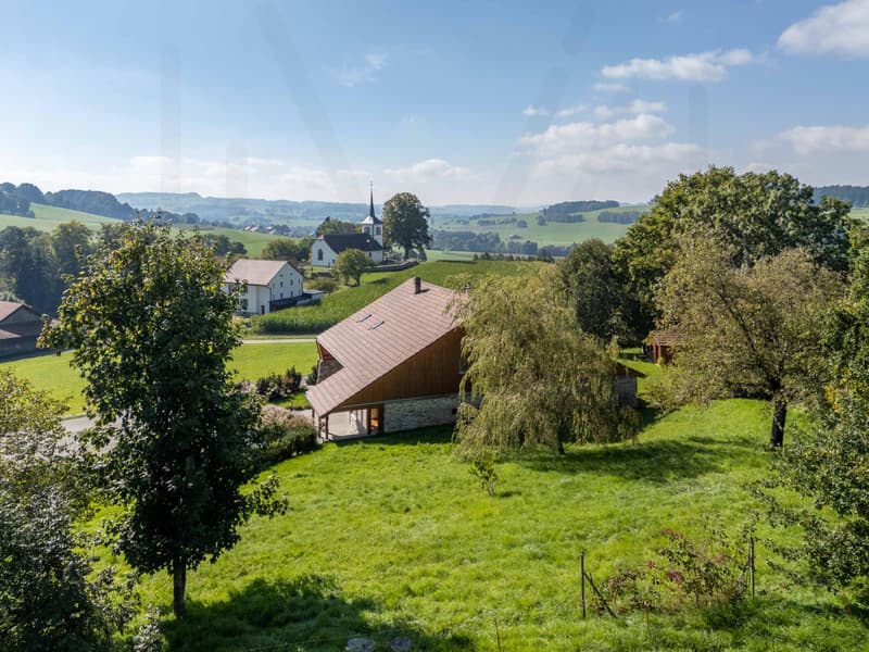 Exceptional, fully renovated character farmhouse in the heart of the Fribourg countryside (3)