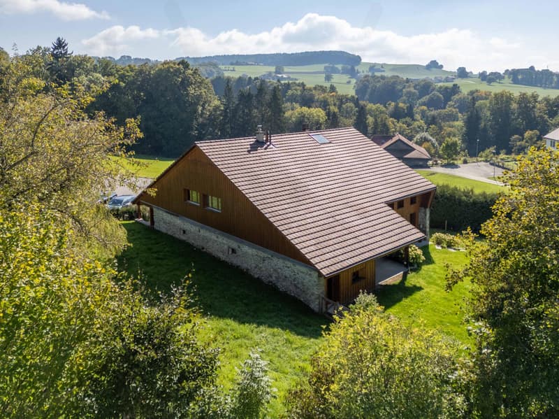 Exceptional, fully renovated character farmhouse in the heart of the Fribourg countryside (8)