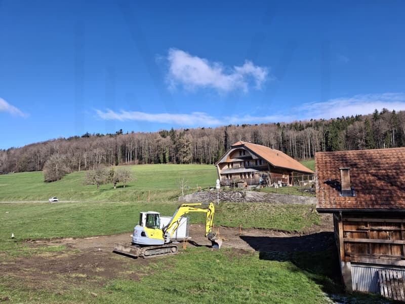 Magnifique attique 5,5 pièces avec une très belle vue campagne (6)