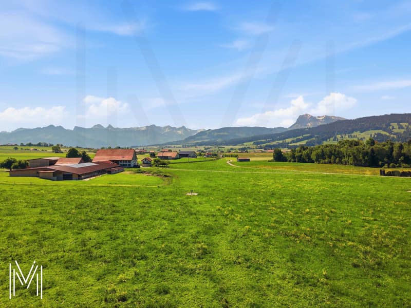 Your future home, a contemporary 5.5-room house in Gruyère (7)