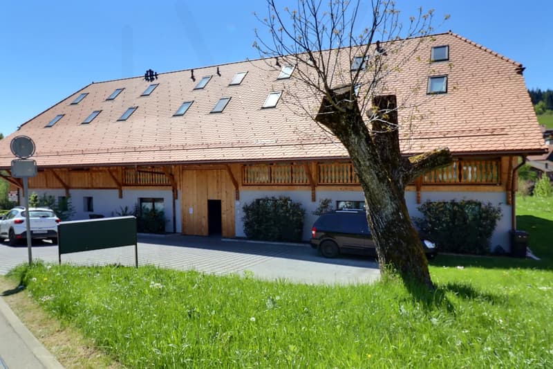 Magnifique appartement 4,5 pièces au 1er étage (2)