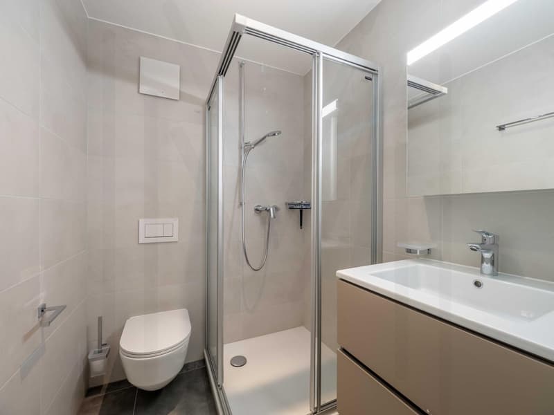 Magnifique appartement 4,5 pièces au 1er étage (10)