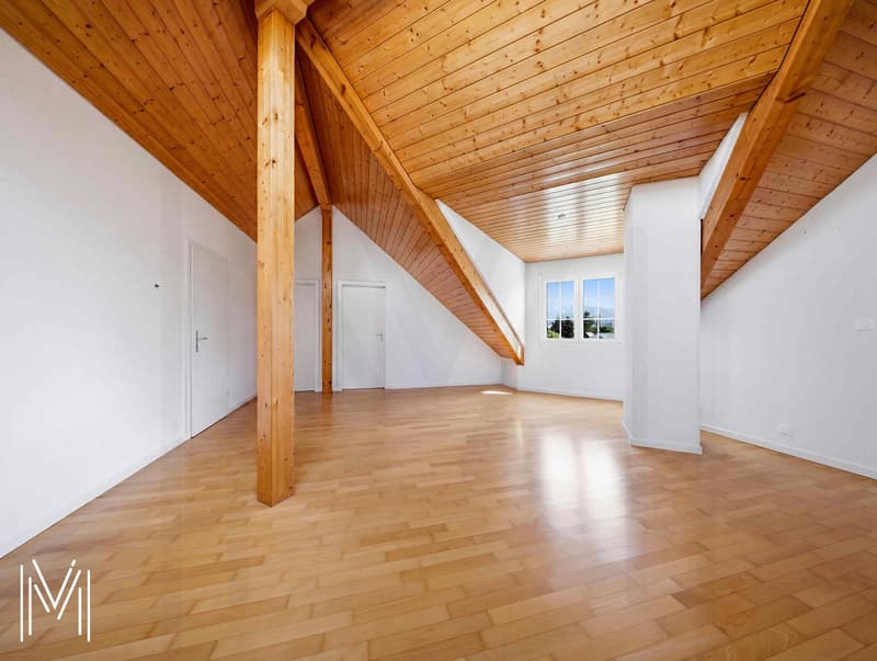 Exceptional 6.5-room villa in a quiet residential area with an exceptional view! (12)
