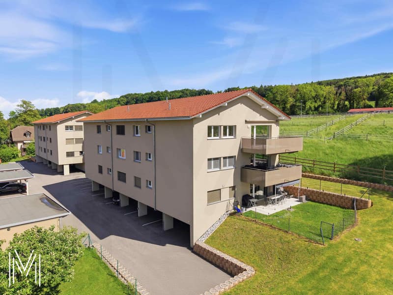Appartement en attique de 4.5 pièces avec vue panoramique sur la campagne sans vis-à-vis ! (7)