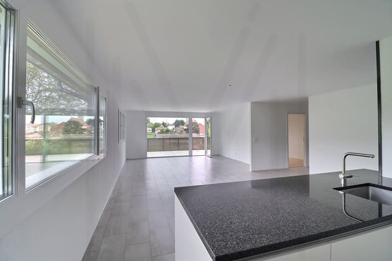 Appartement en attique de 4.5 pièces avec vue panoramique sur la campagne sans vis-à-vis ! (10)