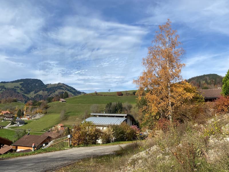 Baugrundstück mit Baugenehmigung für ein Einfamilienhaus/Chalet (4)