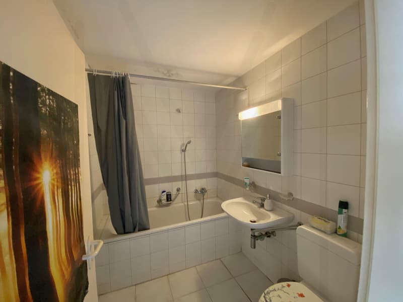 4.5-room apartment on the top floor (10)