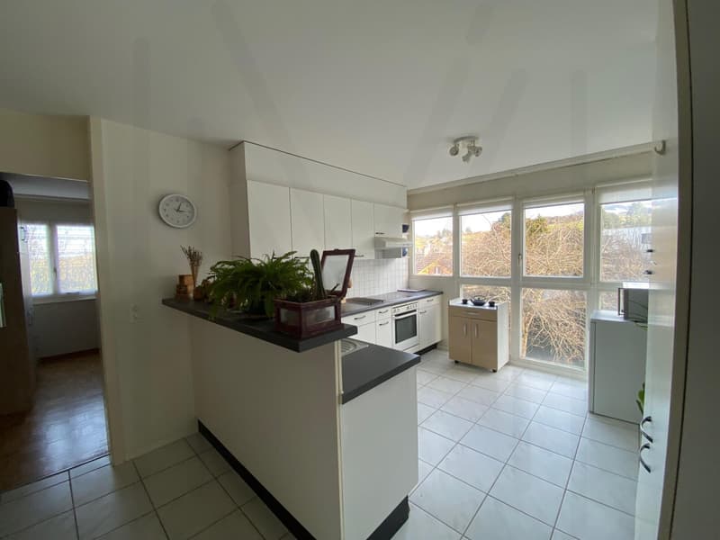 4.5-room apartment on the top floor (4)