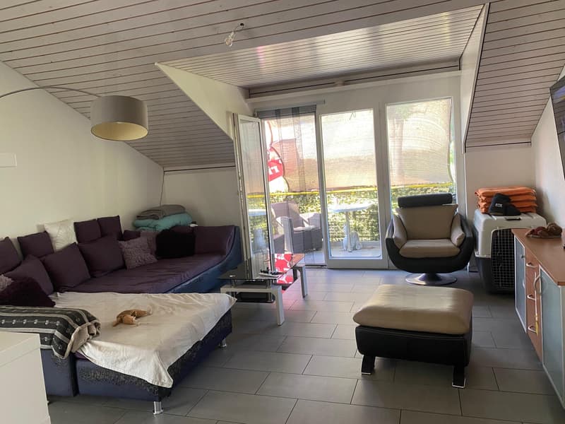 4.5-room apartment on the top floor (6)
