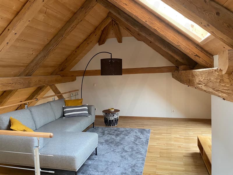 Magnifico duplex di 3,5 locali (9)