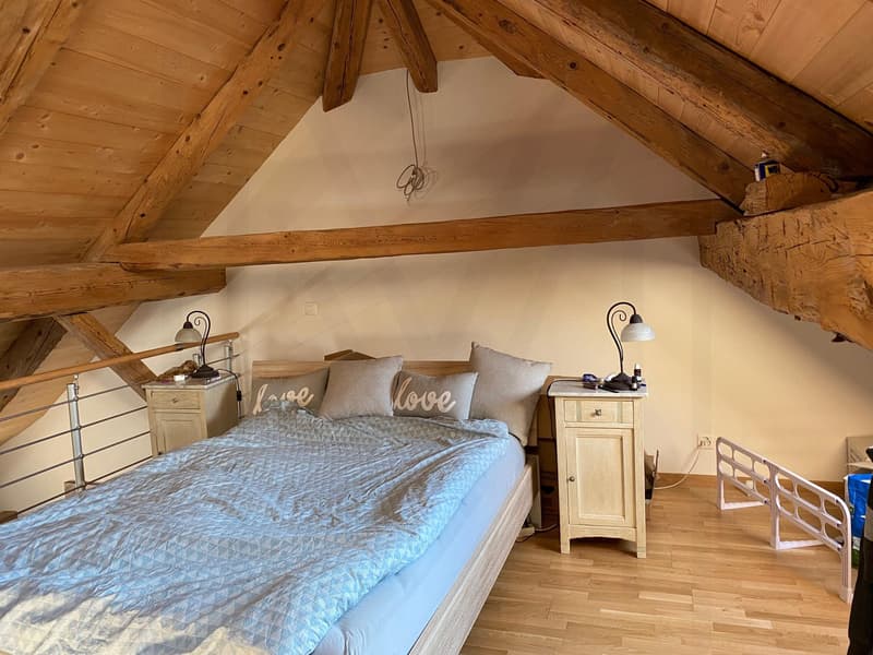 Magnifico duplex di 3,5 locali (8)