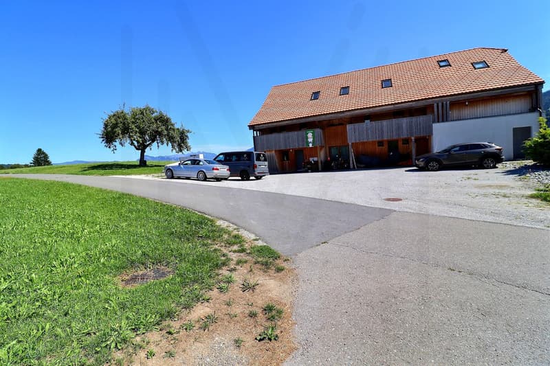 Magnifico duplex di 3,5 locali (10)