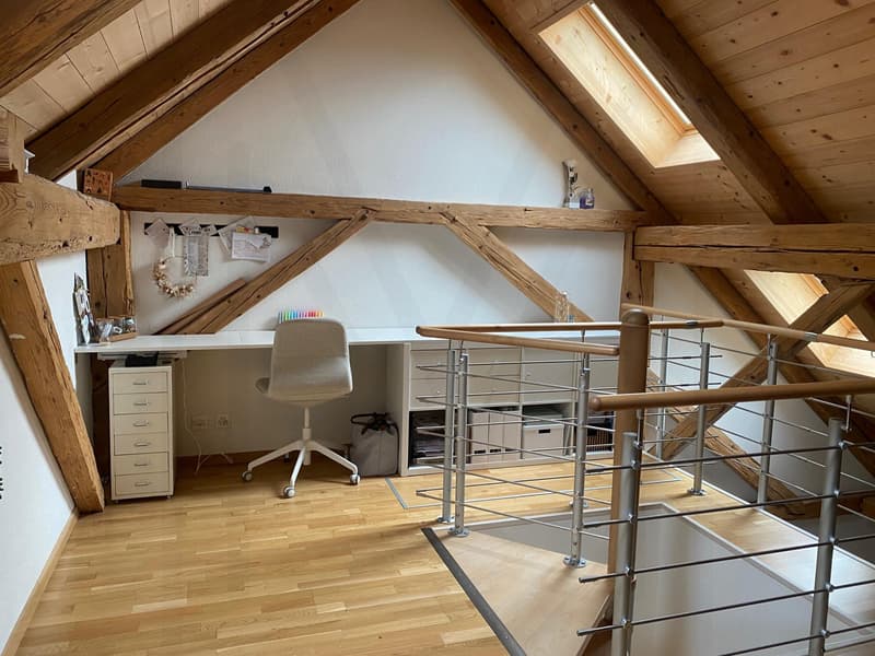Magnifico duplex di 3,5 locali (7)