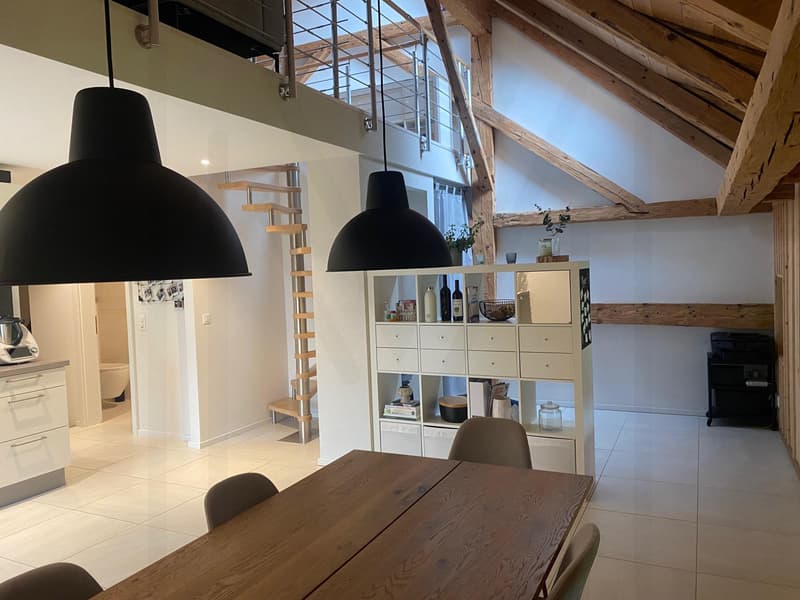 Magnifico duplex di 3,5 locali (3)