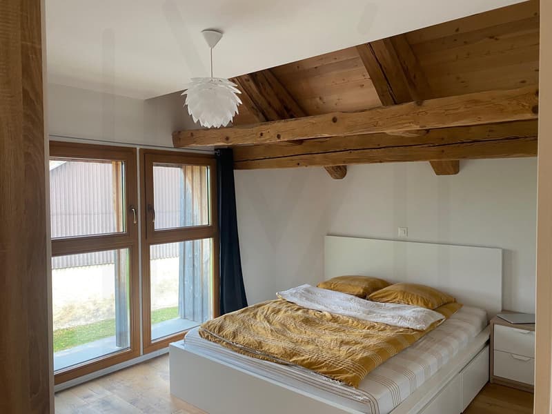 Magnifico duplex di 3,5 locali (4)