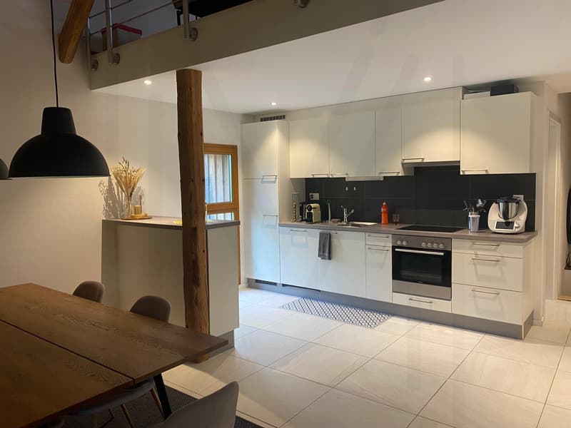 Magnifico duplex di 3,5 locali (2)