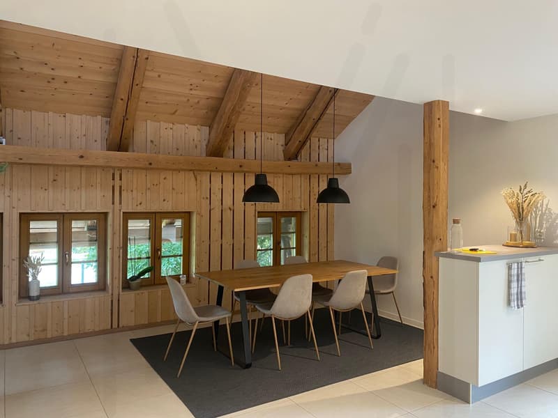 Superbe duplex avec cachet (1)