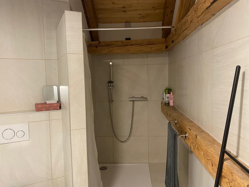 Superbe duplex avec cachet (7)
