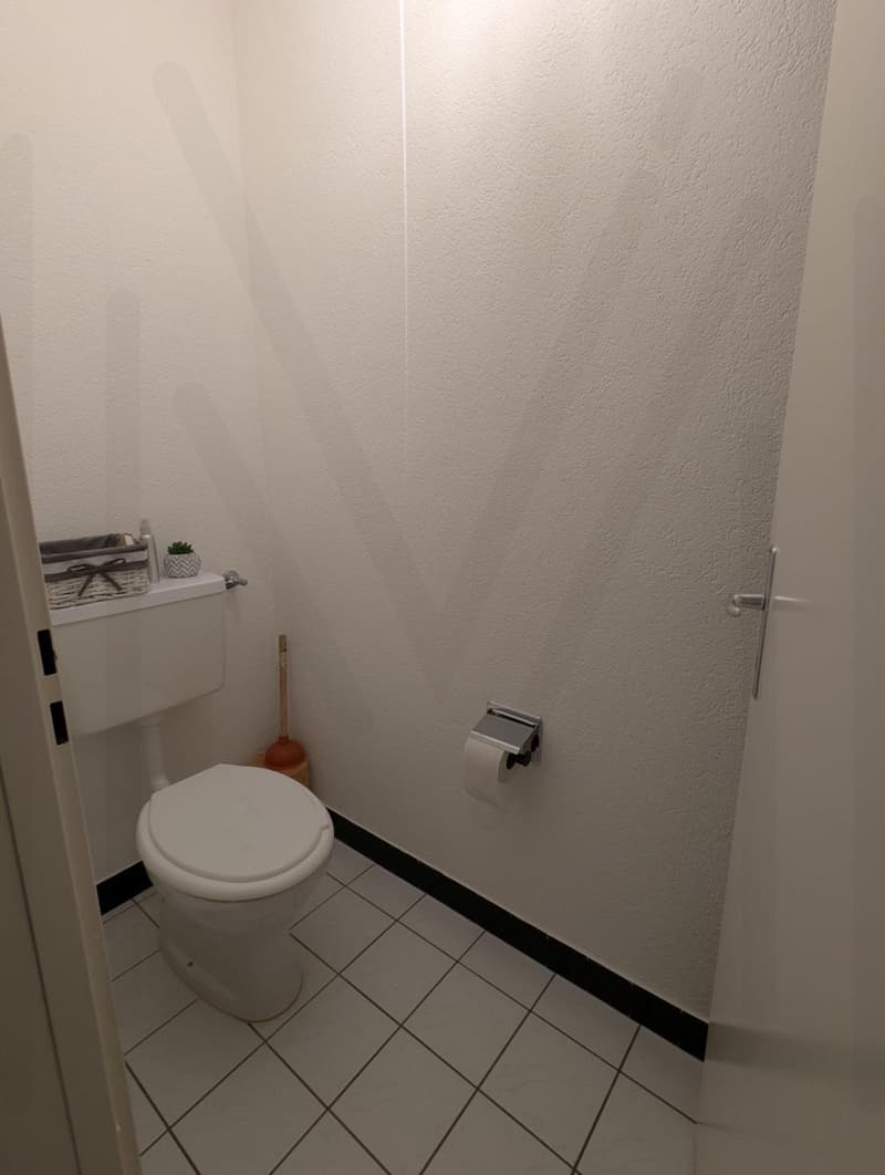 3,5 Zimmer im 2. und letzten Stock (12)