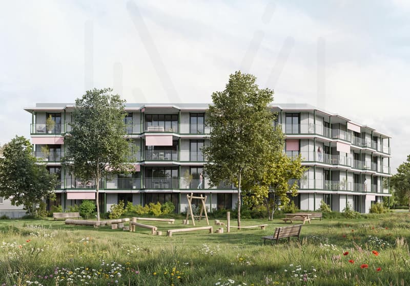 Nuova promozione nel cuore di Broc, magnifici 4,5 locali nuovi (2)