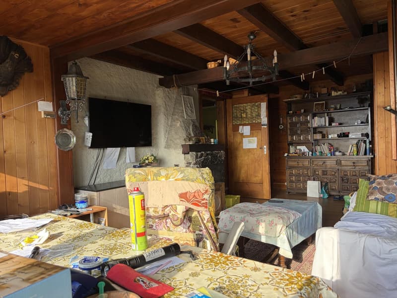 Chalet autentico con vista impareggiabile sul Lago di Gruyère (5)